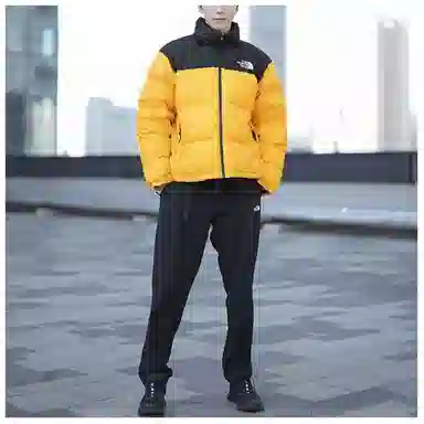 THE NORTH FACE 1996 logo