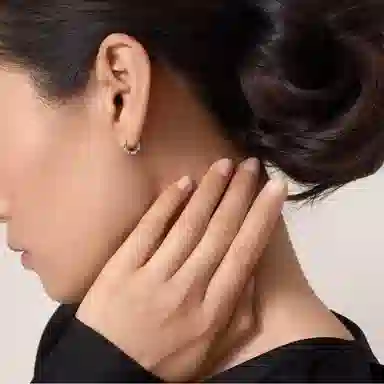 Cartier Love 18K White Gold Earring