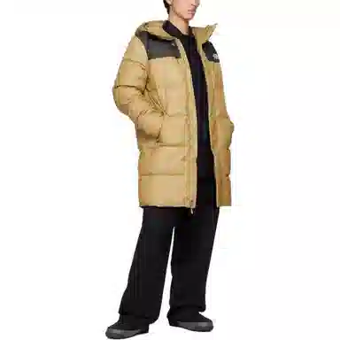 THE NORTH FACE FW22 Logo