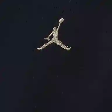 Jordan See Me Shine logo