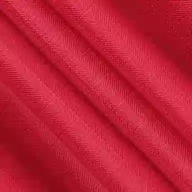 The North Face 1996 Nuptse