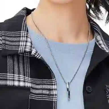 Dickies FW22 Plaid Shirt