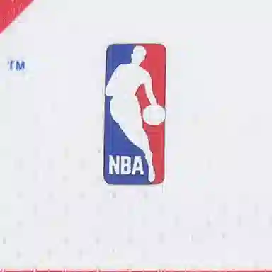 Mitchell Ness Swingman 1991