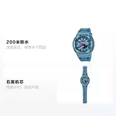 CASIO2100 200