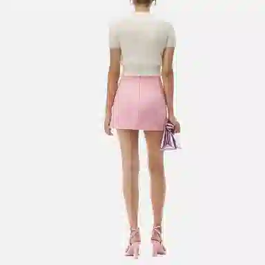 alexander wang FW21 T