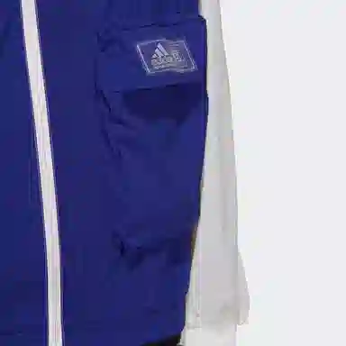 adidas Originals St Ltwind Wvjk