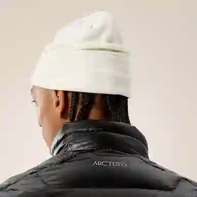 Arcteryx Arctic Silk