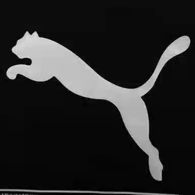 Puma LogoT
