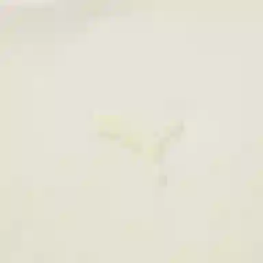 PUMA Swxp Ur Shortsleeve Tee T