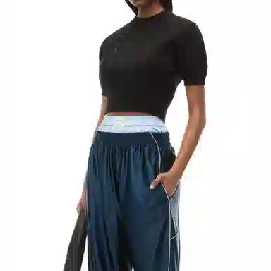 alexander wang T