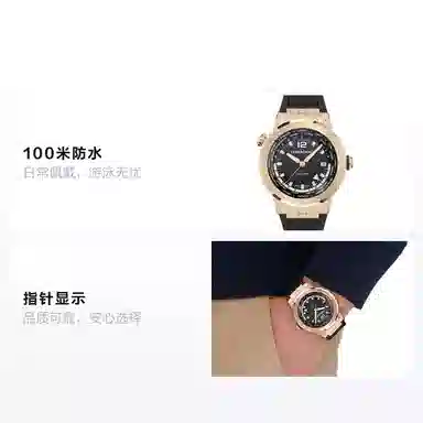 Ferragamo F-80 GMT Worldtime