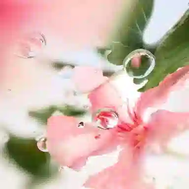 ovre The Top EDT 100ml