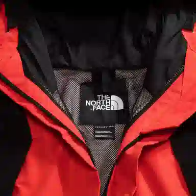 The North Face 1994 Retro Mountain Futurelight