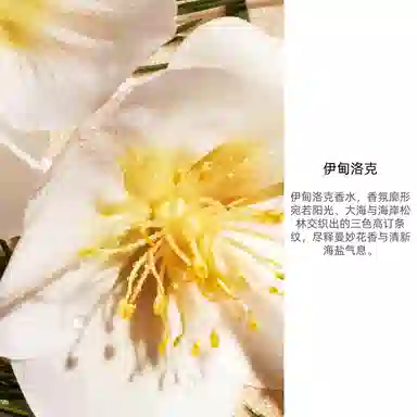 DIOR EDP 50ml100ml200ml