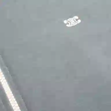 CELINE FW25 TRIOMPHE