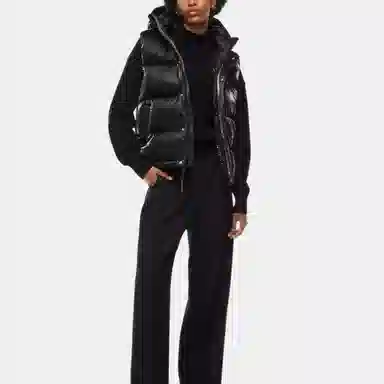 Aritzia Super Puff Liquid Shine