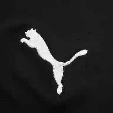 PUMA Acm Shorts Replica