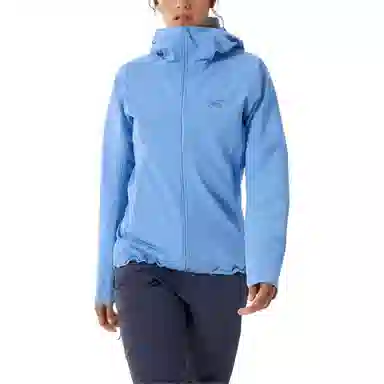 Arcteryx Gamma Hoody