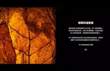 Tabacco Honey EDP 100ml200ml