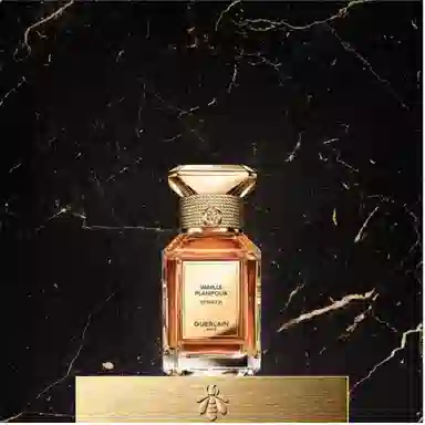 Vanille Planifolia Extrait 21 parfum 50ml