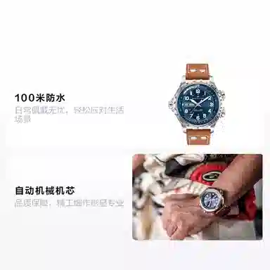 HAMILTON 100 45 H77765541