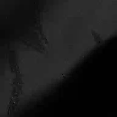 Alexander McQueen SS23