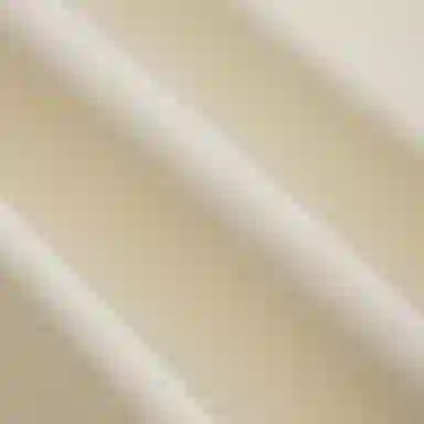 Fear of God Athletics x adidas SS25 logoT