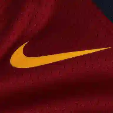 Nike NBA Jersey Icon Edition LeBron James 23 Cleveland Cavaliers