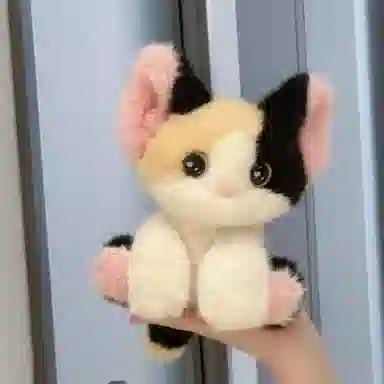 24cm