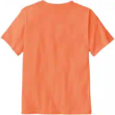 patagonia P-6 Logo T-Shirt T
