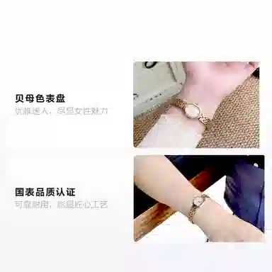 Sea-Gull 530.17.E1002L