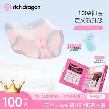 Rich Dragon 100A 8