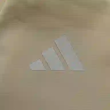 adidas FW24 M TRAN JKT 2