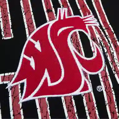 Mitchell & Ness Washington State Cougars Hoodie