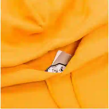 Champion Hoodie Yellow