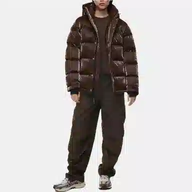 ARITZIA Super Puff Liquid Shine