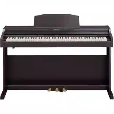 Roland () RP501R