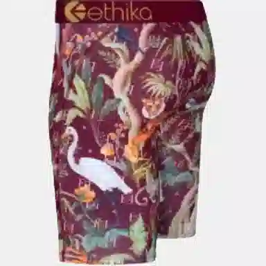 ETHIKA 1
