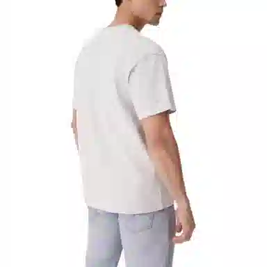 levis T