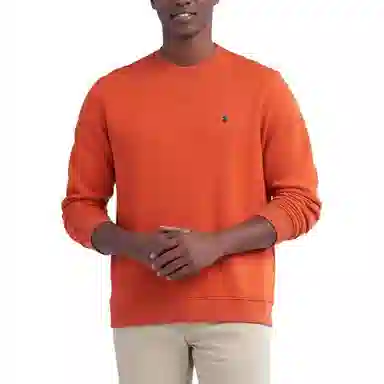 Polo Ralph Lauren FW24 Logo