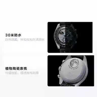 Swatch x Omega Bioceramic MoonSwatch