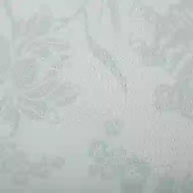 The North Face Urban Exploration Zodiac Limited Edition Jacket