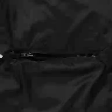 A BATHING APE FW25 FW25 logo