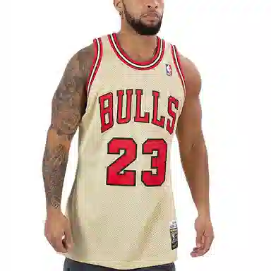 Mitchell Ness NBA AU 1995-96