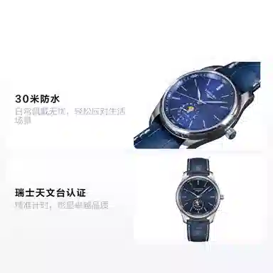 LONGINES 42mm L2.919.4.92.0