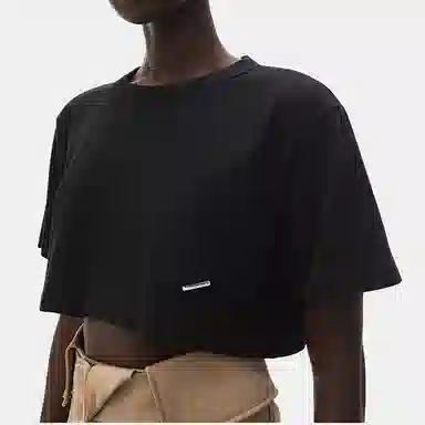 alexander wang T