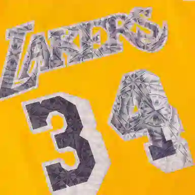 Mitchell Ness NBA 75 SW 96-97 34