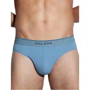 SALIGIA 3