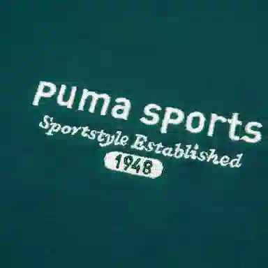 PUMA TEAM TEE T