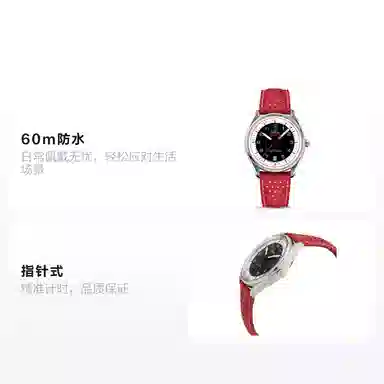 OMEGA Seamaster 522.32.40.20.01.004